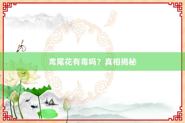 鸢尾花有毒吗？真相揭秘