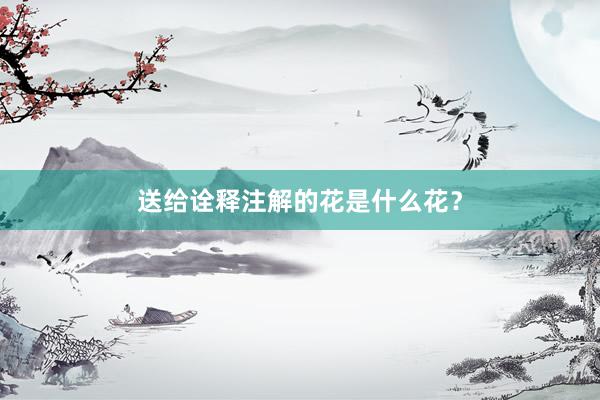送给诠释注解的花是什么花？