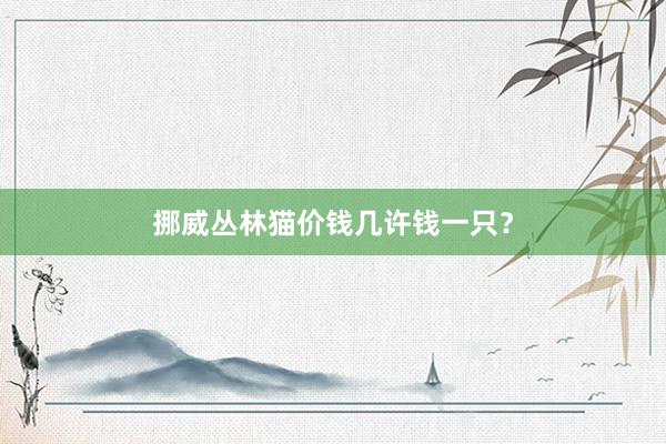 挪威丛林猫价钱几许钱一只?